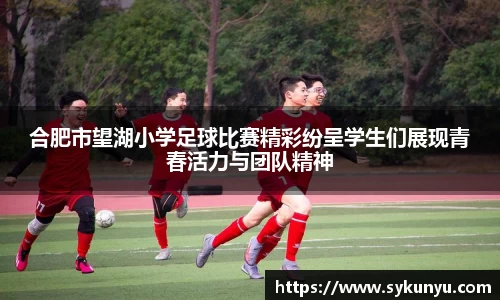 bifa·必发